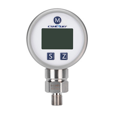 เกจวัดแรงดันดิจิตอล TPS.08